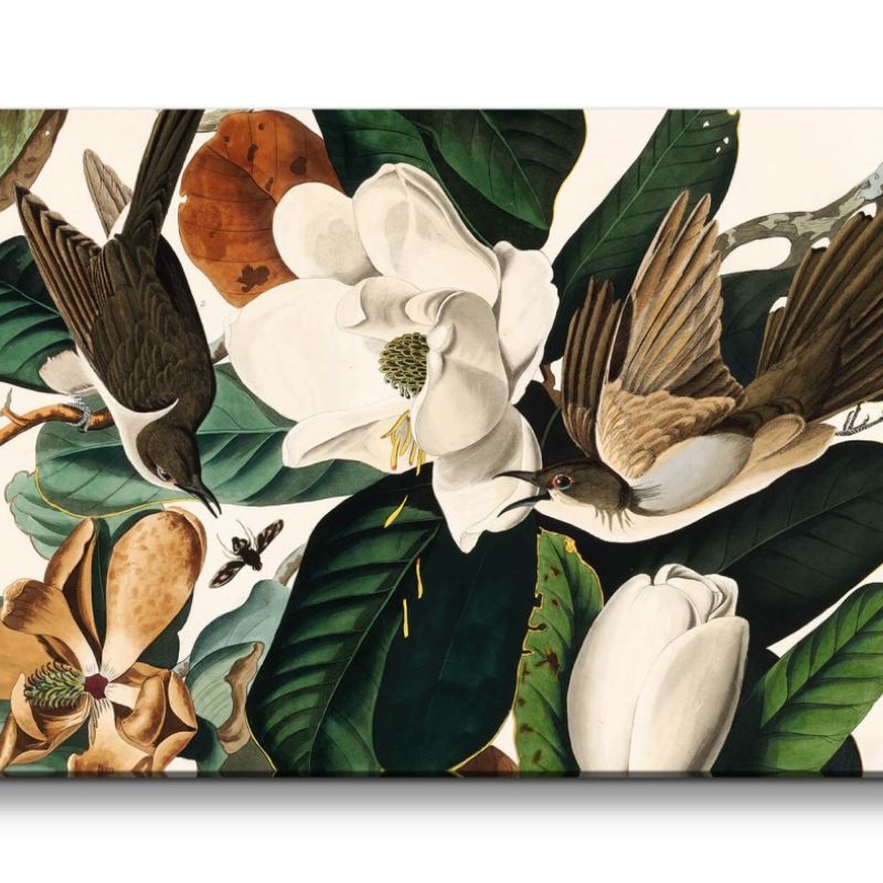 Remaster 120x60cm Kunstvolle Vintage Illustration von Vögel Exotisch Schön Natur Blumen Blüten