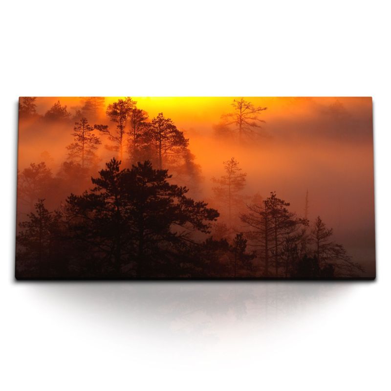 Kunstdruck Bilder 120x60cm Abenddämmerung Abendrot Nebel Wald Bäume Rot