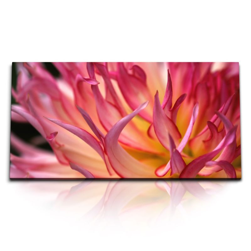 Kunstdruck Bilder 120x60cm Dahlie Dahlienblüte Rosa Blume Nahaufnahme Blumenblüte