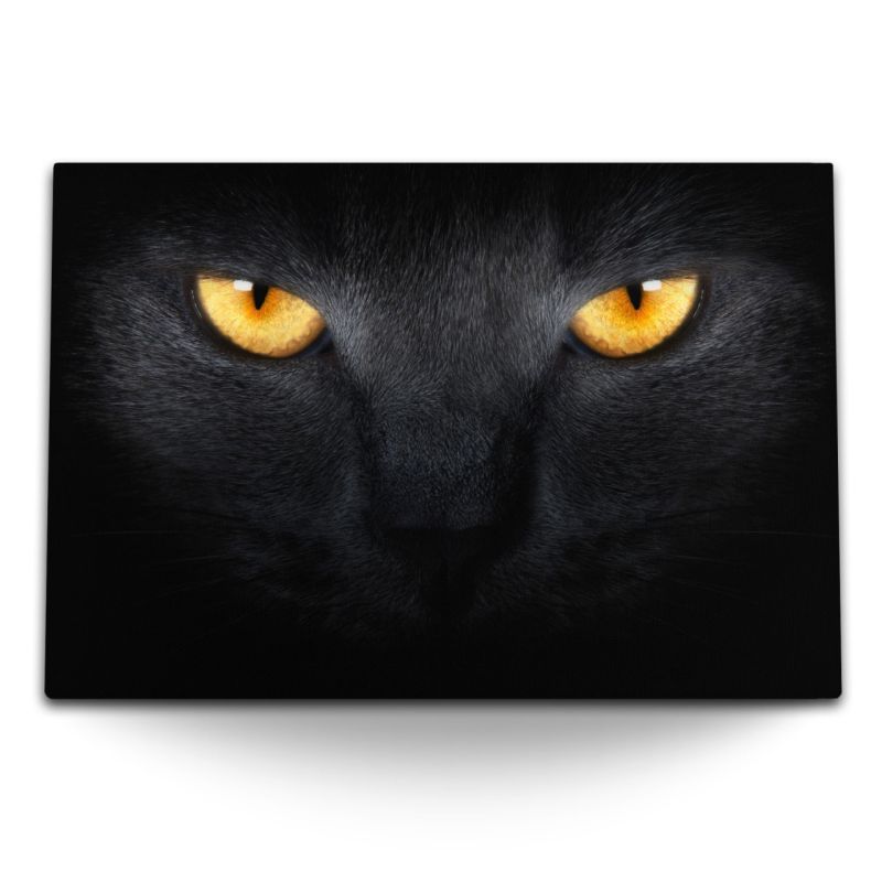 120x80cm Wandbild auf Leinwand Schwarze Katze Katzenaugen Porträt Tierfotografie