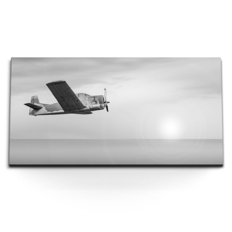 Kunstdruck Bilder 120x60cm Altes Propellerflugzeug in der Luft Schwarz Weiß Flugzeug