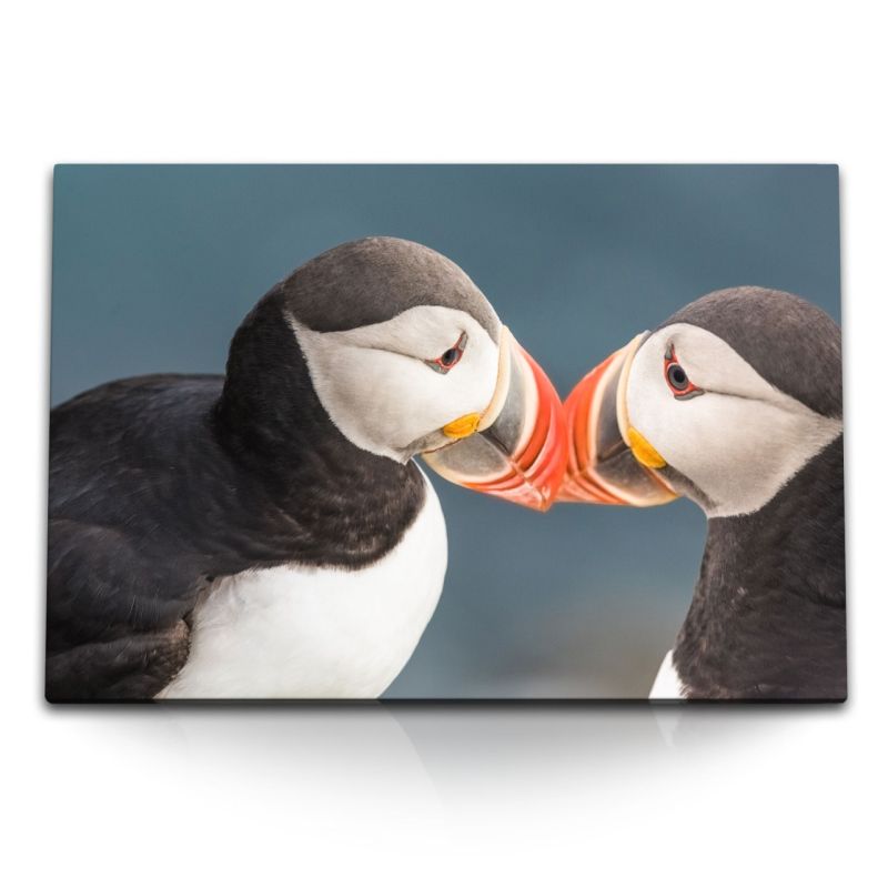 120x80cm Wandbild auf Leinwand Papageitaucher Puffin Vogel Pärchen Tierfotografie