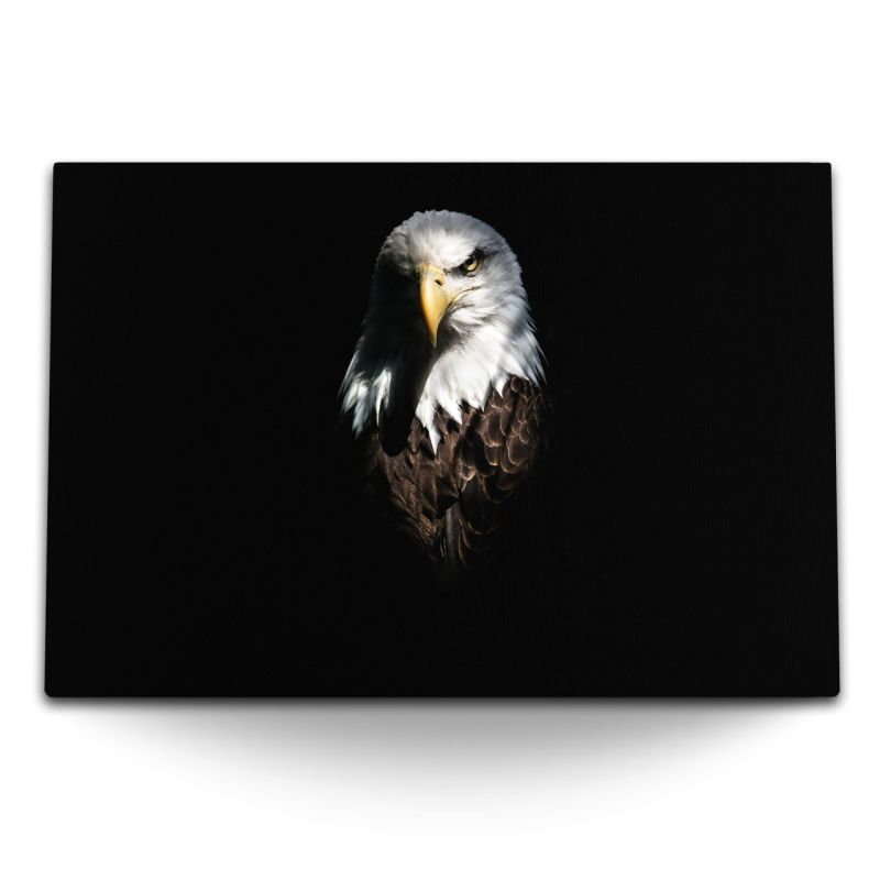 120x80cm Wandbild auf Leinwand Weißkopfadler Adler Tierfotografie schwarzer Hintergrund