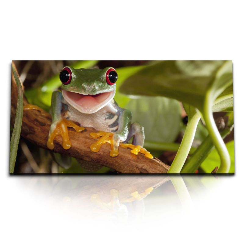 Kunstdruck Bilder 120x60cm Kleiner Frosch im Dschungel Tropisch Exotisch