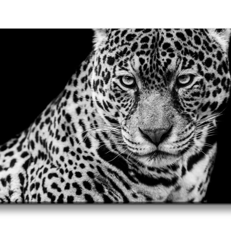 Leinwandbild 120x60cm Leopard Raubkatze Großkatze Schwarz Weiß Tierfotografie