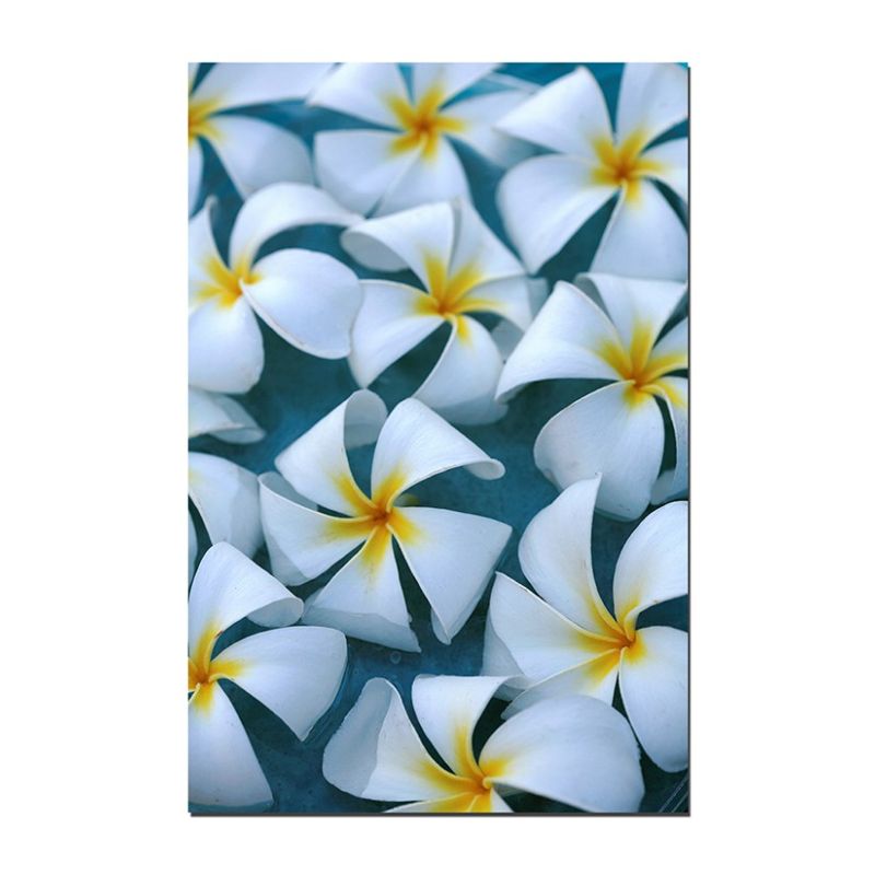 120x60cm Plumeria Blüte Blume Wasser exotisch