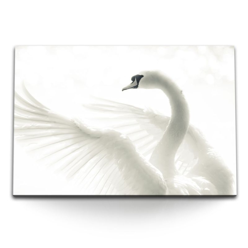 120x80cm Wandbild auf Leinwand Weißer Schwan Tierfotografie Hell Kunstvoll Federkleid