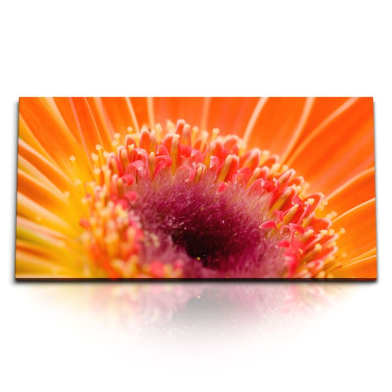 Kunstdruck Bilder 120x60cm Rote Blume Blüte Nahaufnahme Makrofotografie