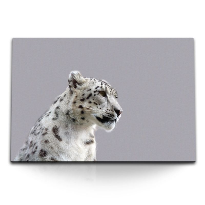 120x80cm Wandbild auf Leinwand Raubkatze Schneeleopard Leopard Tierfotografie