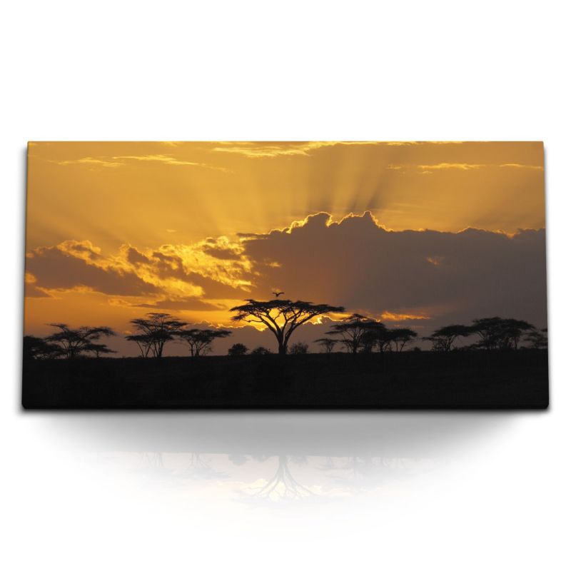 Kunstdruck Bilder 120x60cm Afrikanische Landschaft Abendrot Wildnis Natur