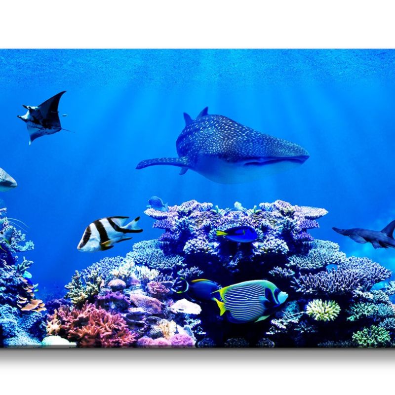 Leinwandbild 120x60cm Korallenriff Bunte Fische unter Wasser Tauchen Ozean Hai