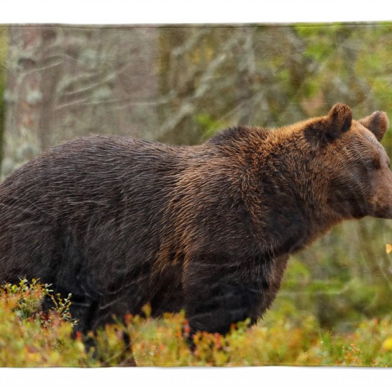 Handtuch Strandhandtuch Saunatuch Kuscheldecke  mit Tiermotiv Bär Wald Natur