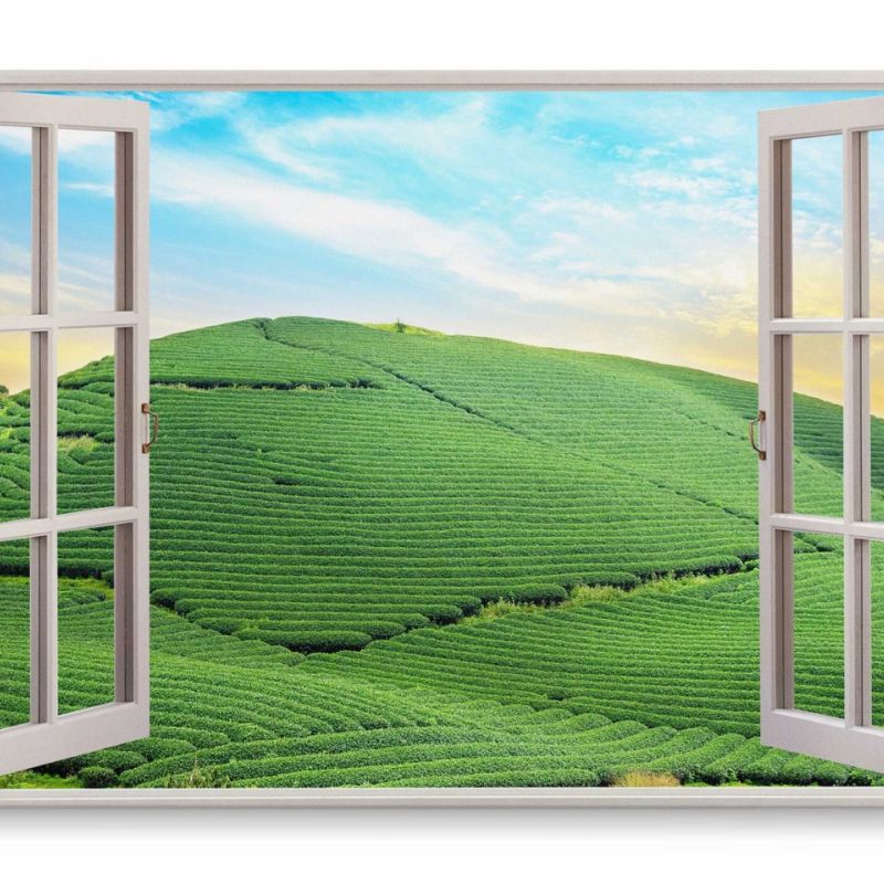 Wandbild 120x80cm Fensterbild Teeplantage Hügel Grün Indien Natur Sonnenuntergang