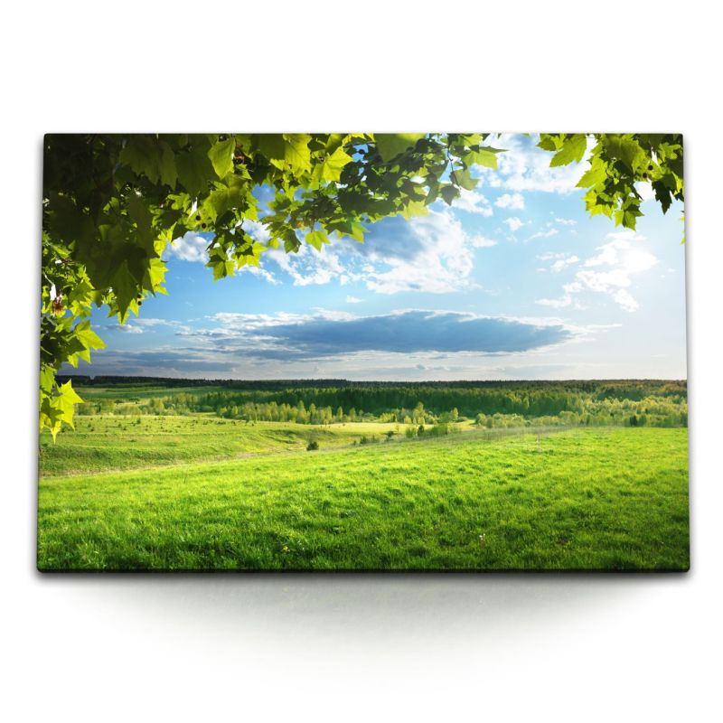 120x80cm Wandbild auf Leinwand Landschaftsbild Natur Gras Wiese Bäume Sommer