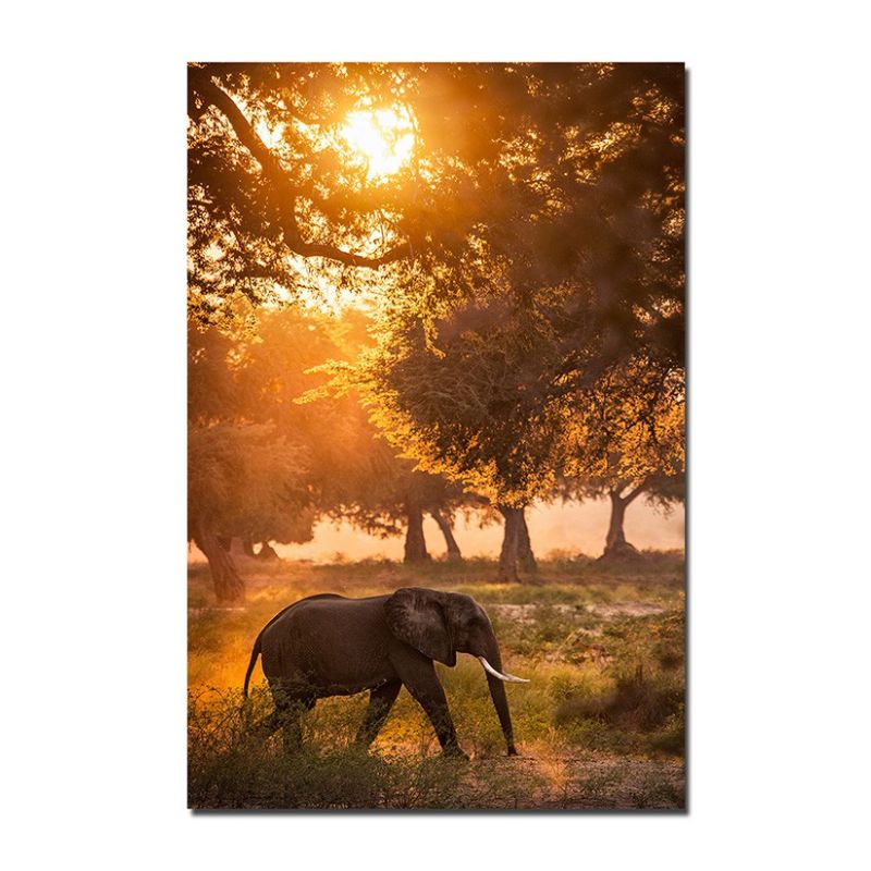 120x80cm Wandbild Elefant Wald Sonnenstrahlen Wiese – Kraftvolle Natur auf Leinwand | Majestätisch