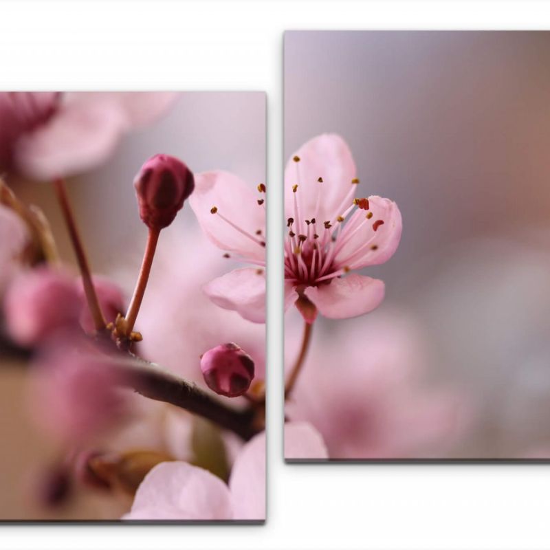 Blumen in rosa Wandbild in verschiedenen Größen