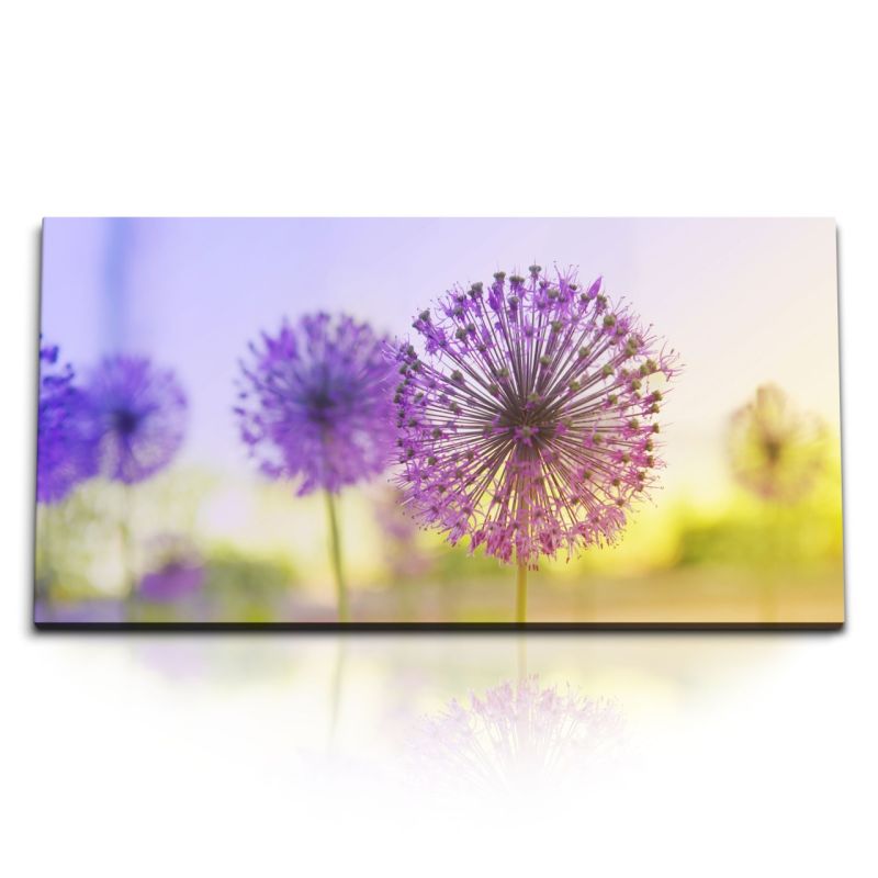 Kunstdruck Bilder 120x60cm Pusteblume Sonnenuntergang Sommer Blumen Violett