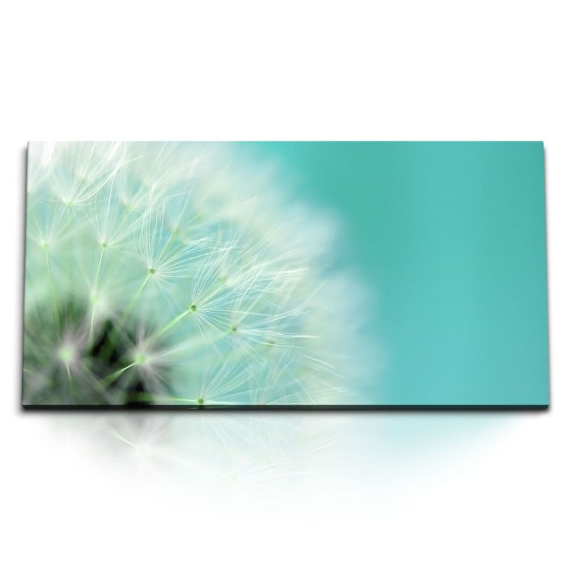 Kunstdruck Bilder 120x60cm Pusteblume Nahaufnahme Makrofotografie Türkis Kunstvoll