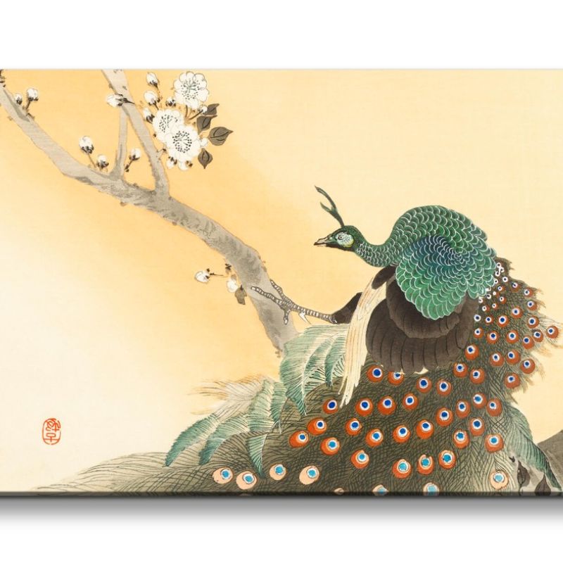 Remaster 120x60cm Ohara Koson traditionell japanische Kunst wunderschöner Pfau Baumblüten