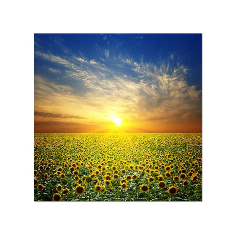 80x80cm Sommerlandschaft Sonnenblumen Sonne