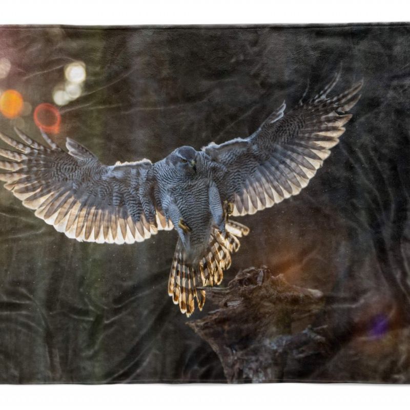 Handtuch Strandhandtuch Saunatuch Kuscheldecke  mit Tiermotiv Falke majestätisch