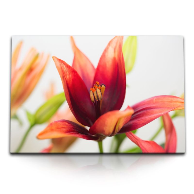 120x80cm Wandbild auf Leinwand Rote Lilie Blume Blüten Makrofotografie Natur