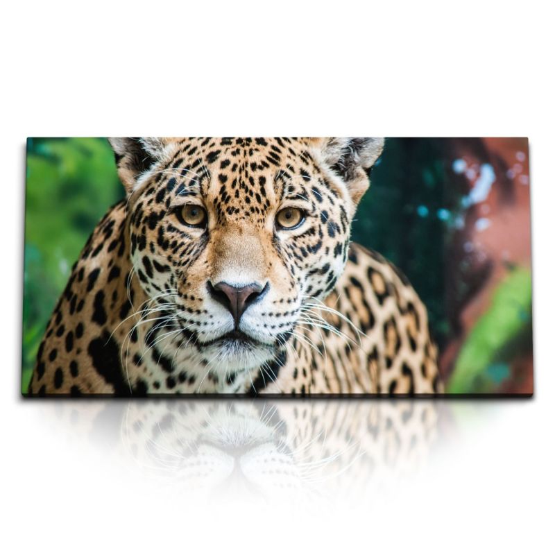 Kunstdruck Bilder 120x60cm Jaguar Leopard Raubkatze Katze Tierfotografie