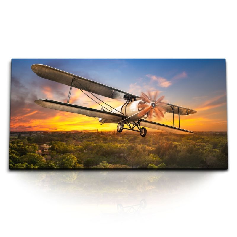 Kunstdruck Bilder 120x60cm Propellerflugzeug Flugzeug Dschungel Sonnenuntergang