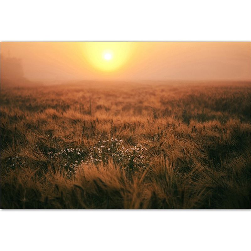 120x80cm Feld Sonnenuntergang Landschaft