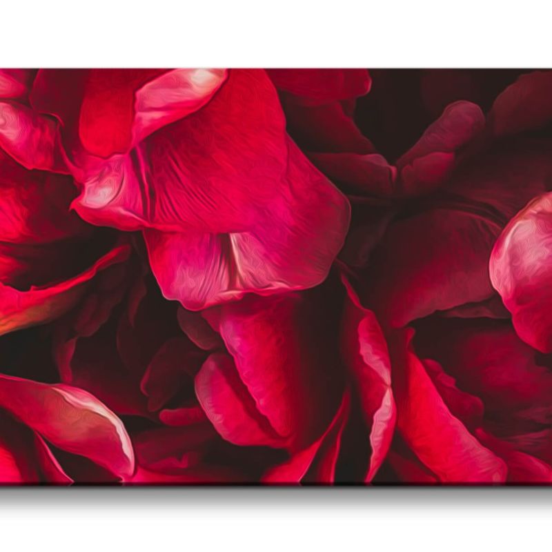 Leinwandbild 120x60cm Rote Blüten Rosen Schön Romantisch Dekorativ