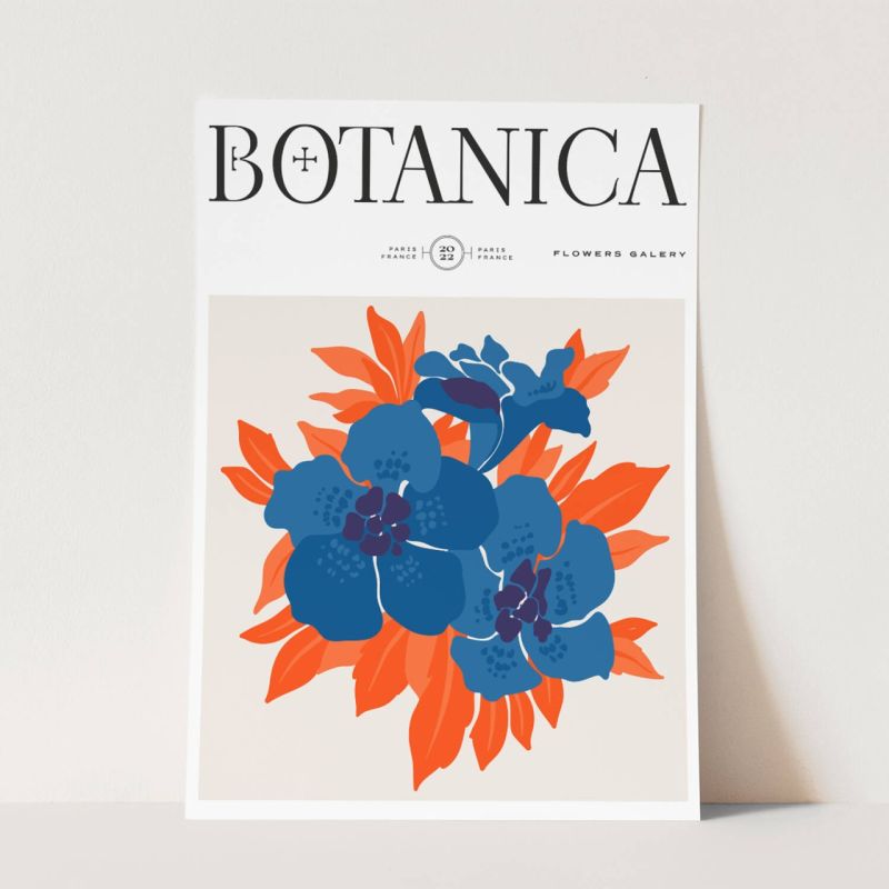 Botanica Wunderschöne Blumen Illustration Dekorativ Modern Farbenfroh