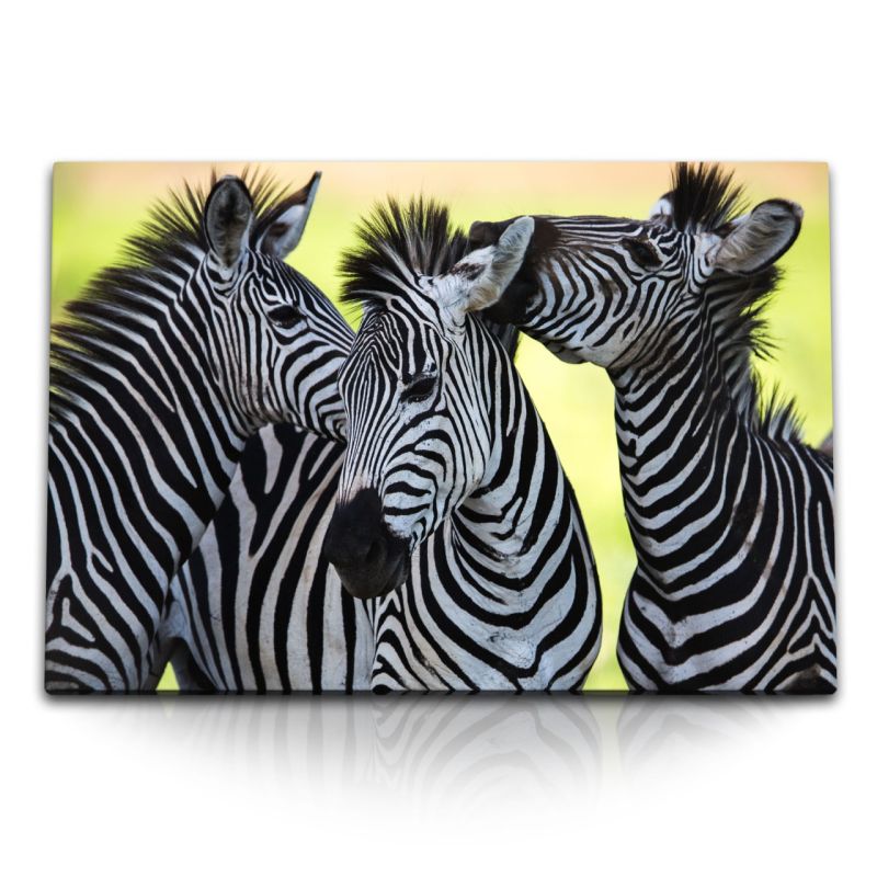 120x80cm Wandbild auf Leinwand Zebras Afrika Tierfotografie Abendrot Natur