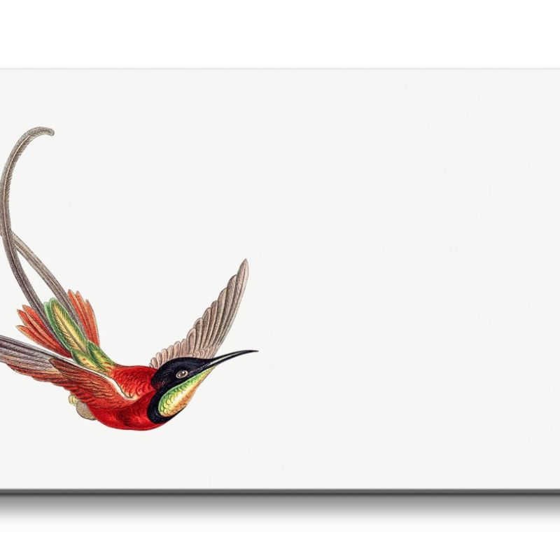 Remaster 120x60cm Kolibri Illustration exotischer Vogel Tropisch Kunstvoll Dekorativ