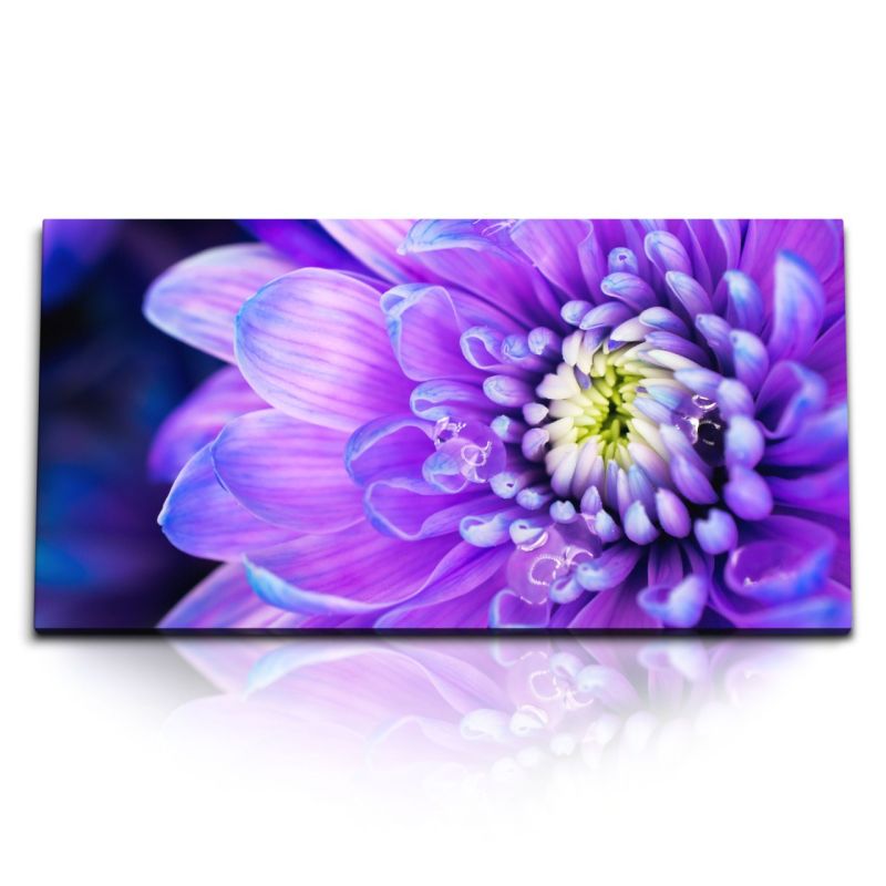 Kunstdruck Bilder 120x60cm Violette Blume Blüte Nahaufnahme Kunstvoll