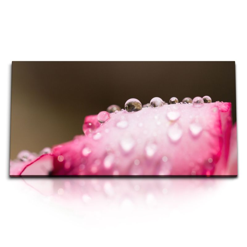 Kunstdruck Bilder 120x60cm Makrofotografie Rosa Blüte Wassertropfen