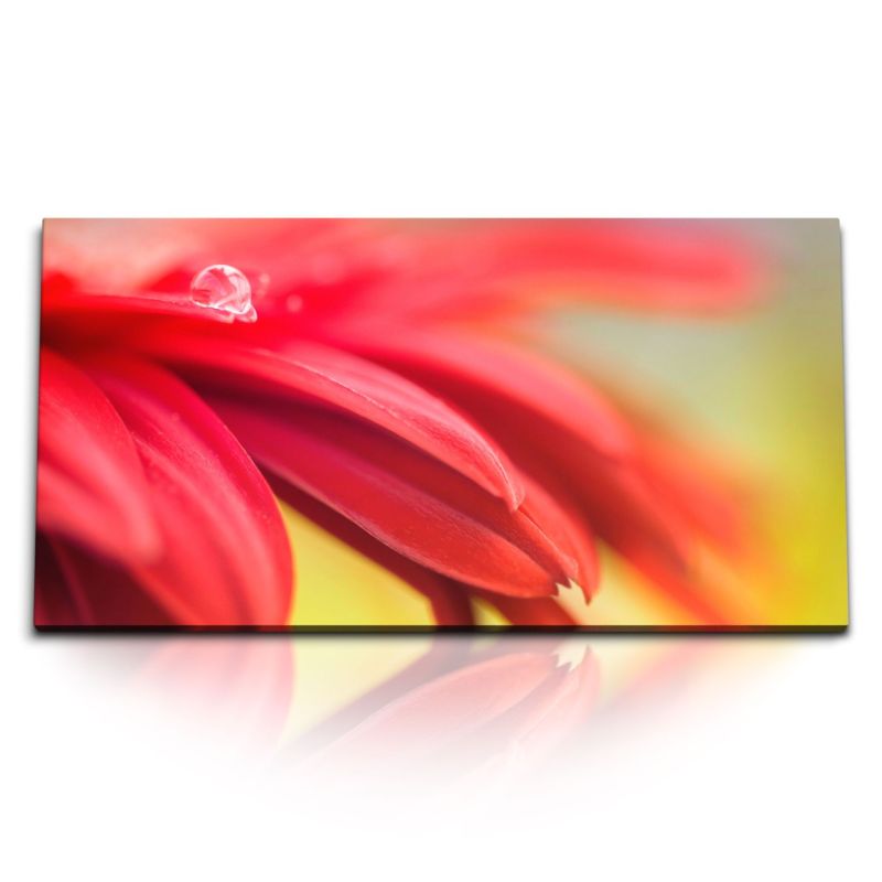 Kunstdruck Bilder 120x60cm Rote Blume Blüte Wassertropfen Makrofotografie