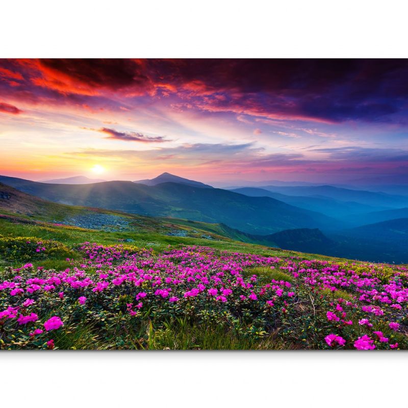 120x80cm Wandbild Ukraine Berge Wiesen Blumen Abendsonne