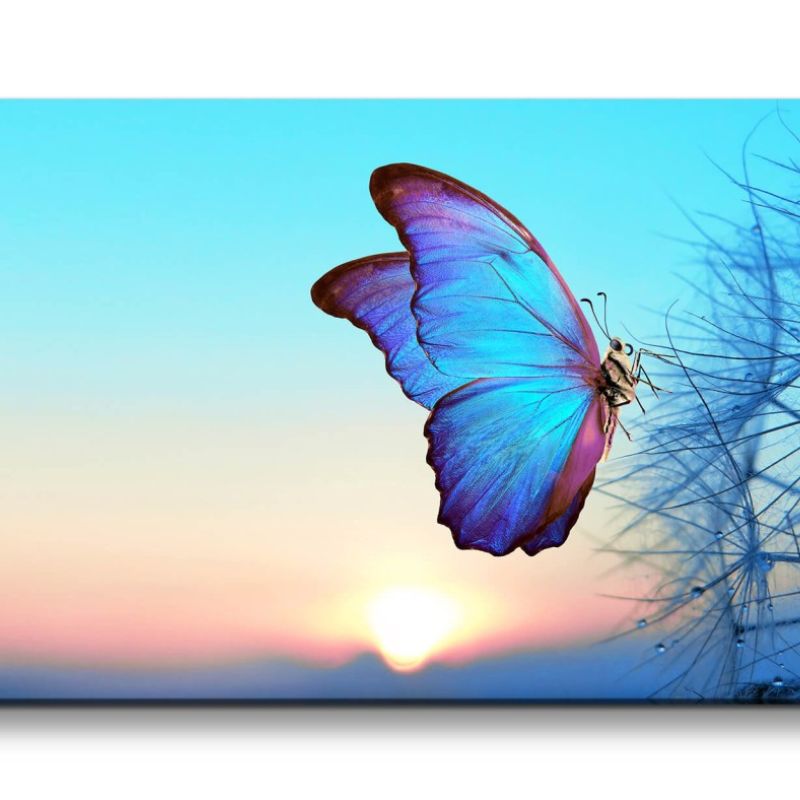 Leinwandbild 120x60cm Schmetterling Sonnenuntergang Pusteblume Blau Schön