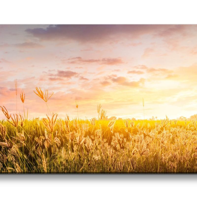 Leinwandbild 120x60cm Weizenfeld Kornfeld Horizont Sommer Himmel Schön