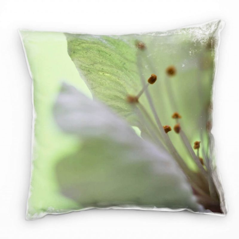 Macro, Blumen, Kirschblüte, weiß, grün Deko Kissen 40x40cm für Couch Sofa Lounge Zierkissen