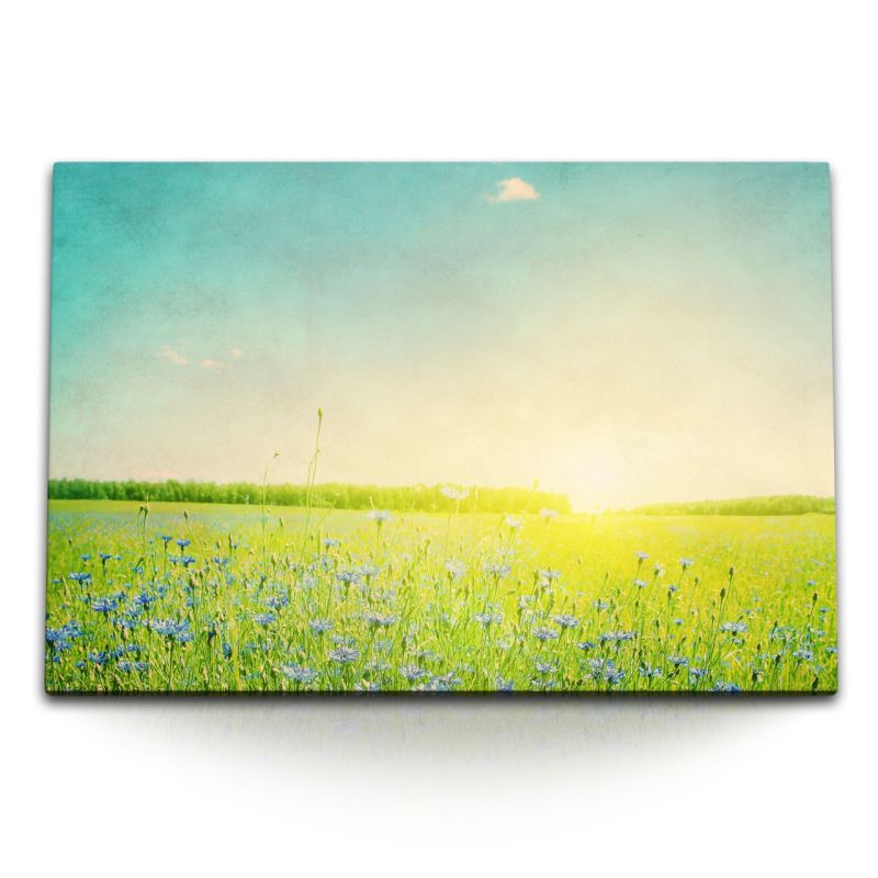 120x80cm Wandbild auf Leinwand Sommerwiese Sonnenschein Blumen Wildblumen