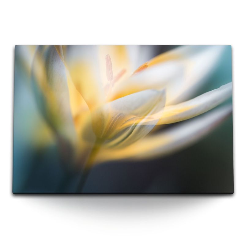 120x80cm Wandbild auf Leinwand Blüte Blume Weiß Kunstvoll Fotokunst Dekorativ