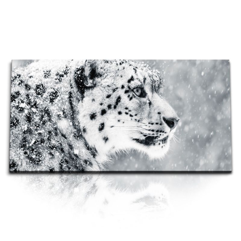 Kunstdruck Bilder 120x60cm Schneeleopard Winter Raubkatze Leopard Tierfotografie