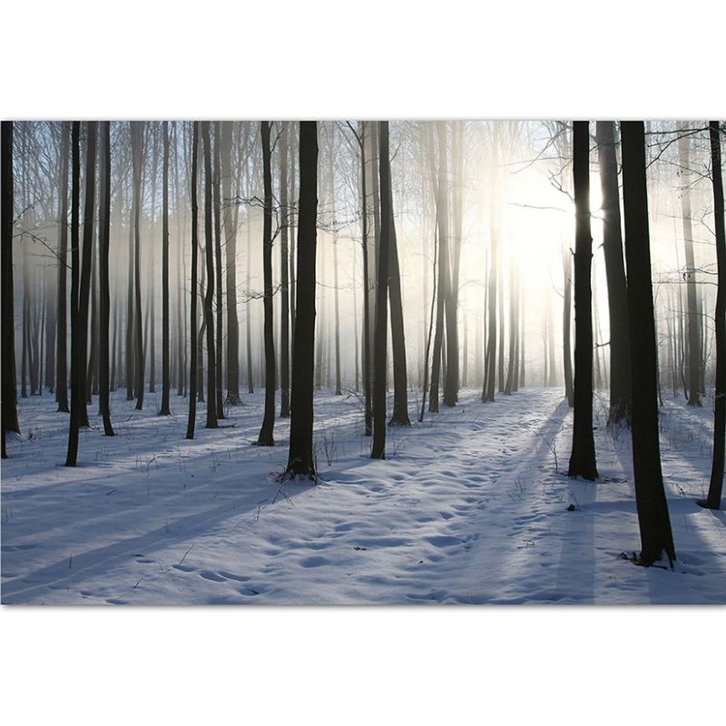 120x80cm Wald Schnee Winter Sonnenstrahlen