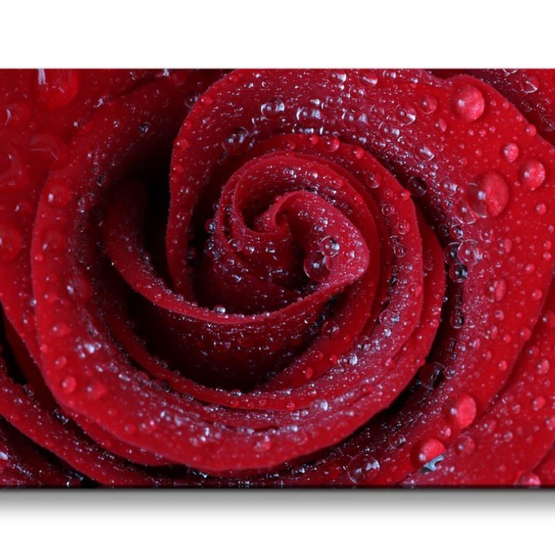 Leinwandbild 120x60cm Rote Rose Blüte Romantisch Liebe Leidenschaft Wassertropfen