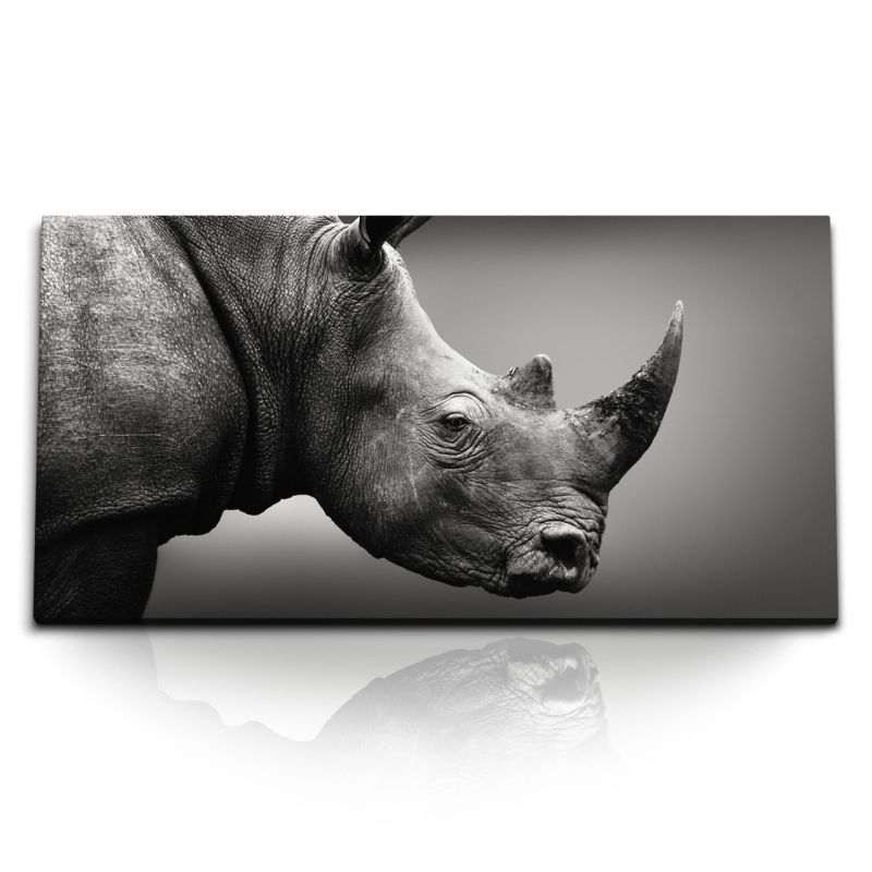 Kunstdruck Bilder 120x60cm Nashorn Tierfotografie Kunstvoll Grau Schwarz Weiß