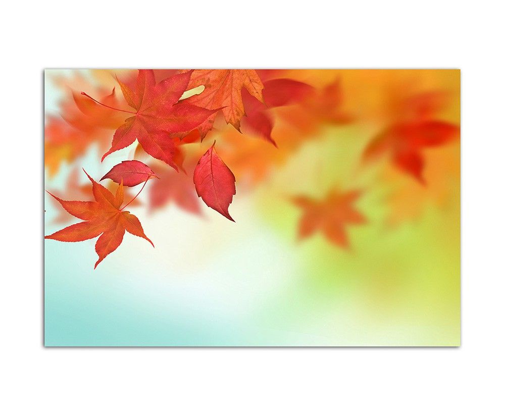 120x80cm Blätter fallen Herbst