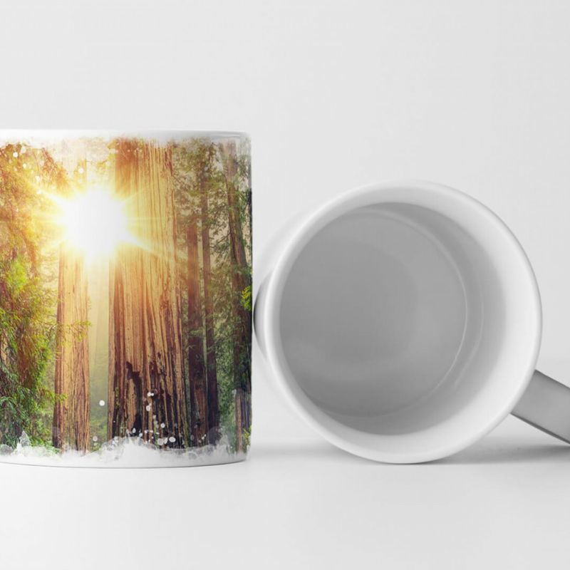 Tasse Geschenk Landschaftsfotografie – Sonniger Redwood Forest Kalifornien USA