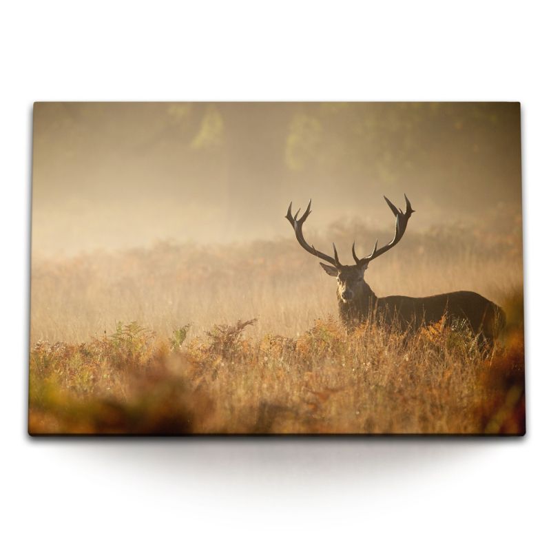 120x80cm Wandbild auf Leinwand Hirsch Tierfotografie Grasland Natur Hirschgeweih