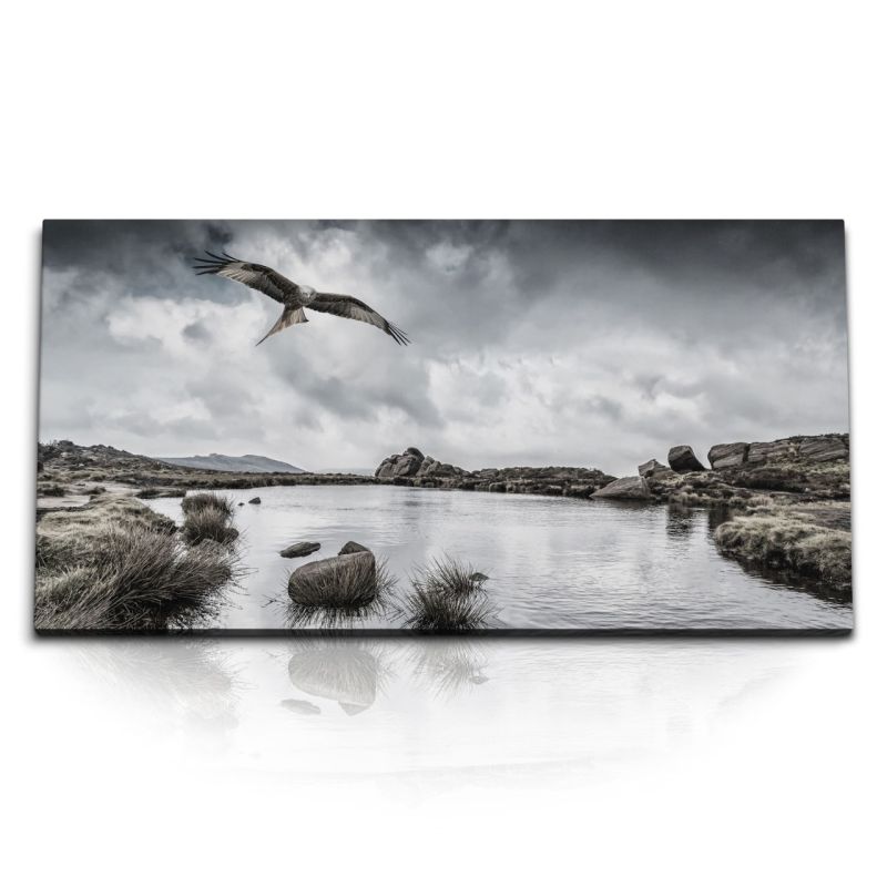 Kunstdruck Bilder 120x60cm Adler Weißkopfadler USA See Natur grauer Himmel